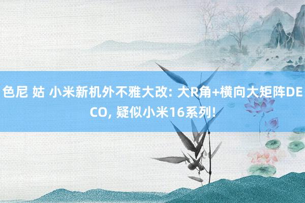 色尼 姑 小米新机外不雅大改: 大R角+横向大矩阵DECO， 疑似小米16系列!