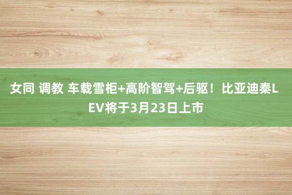 女同 调教 车载雪柜+高阶智驾+后驱！比亚迪秦L EV将于3月23日上市