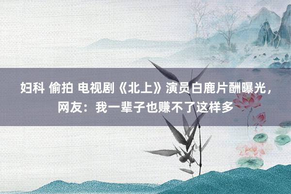 妇科 偷拍 电视剧《北上》演员白鹿片酬曝光，网友：我一辈子也赚不了这样多