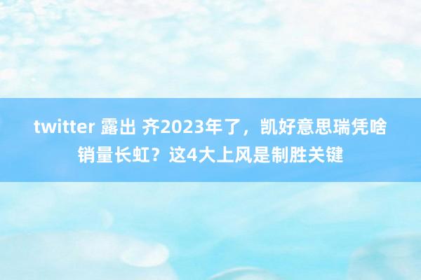 twitter 露出 齐2023年了，凯好意思瑞凭啥销量长虹？这4大上风是制胜关键