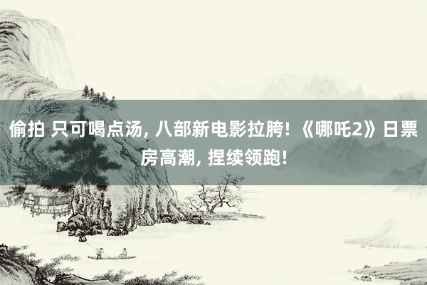 偷拍 只可喝点汤， 八部新电影拉胯! 《哪吒2》日票房高潮， 捏续领跑!