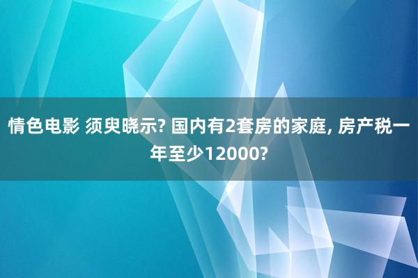 情色电影 须臾晓示? 国内有2套房的家庭， 房产税一年至少12000?