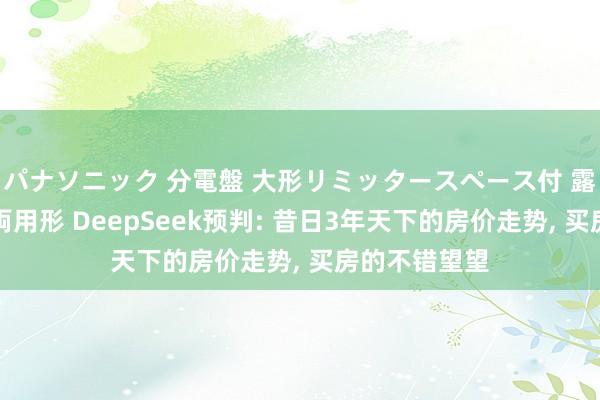 パナソニック 分電盤 大形リミッタースペース付 露出・半埋込両用形 DeepSeek预判: 昔日3年天下的房价走势， 买房的不错望望