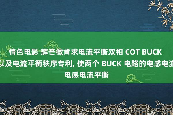 情色电影 辉芒微肯求电流平衡双相 COT BUCK 电路以及电流平衡秩序专利， 使两个 BUCK 电路的电感电流平衡