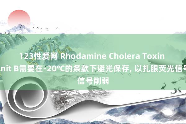 123性爱网 Rhodamine Cholera Toxin Subunit B需要在-20℃的条款下避光保存， 以扎眼荧光信号削弱