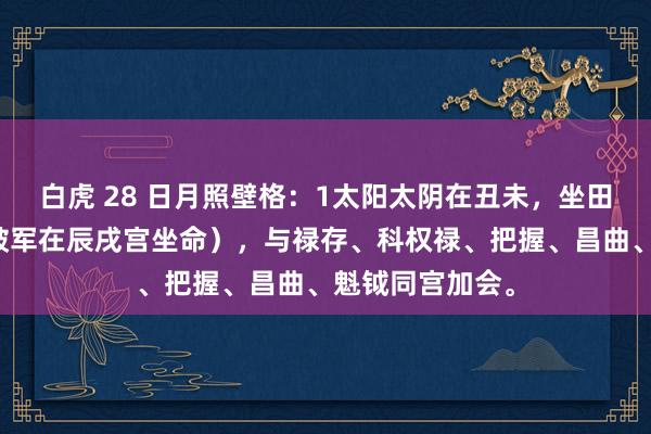 白虎 28 日月照壁格：1太阳太阴在丑未，坐田宅宫（此必为破军在辰戌宫坐命），与禄存、科权禄、把握、昌曲、魁钺同宫加会。