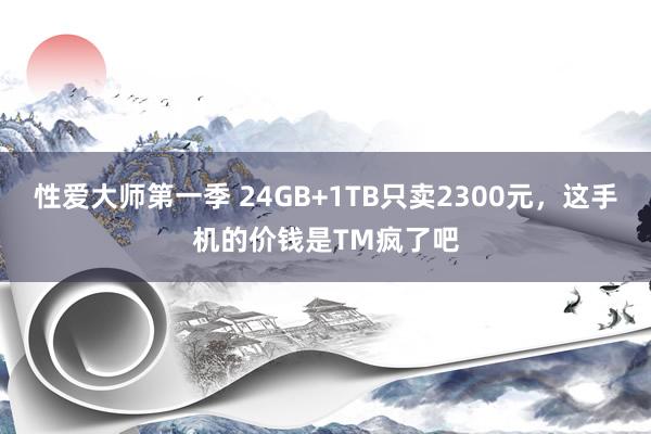 性爱大师第一季 24GB+1TB只卖2300元，这手机的价钱是TM疯了吧